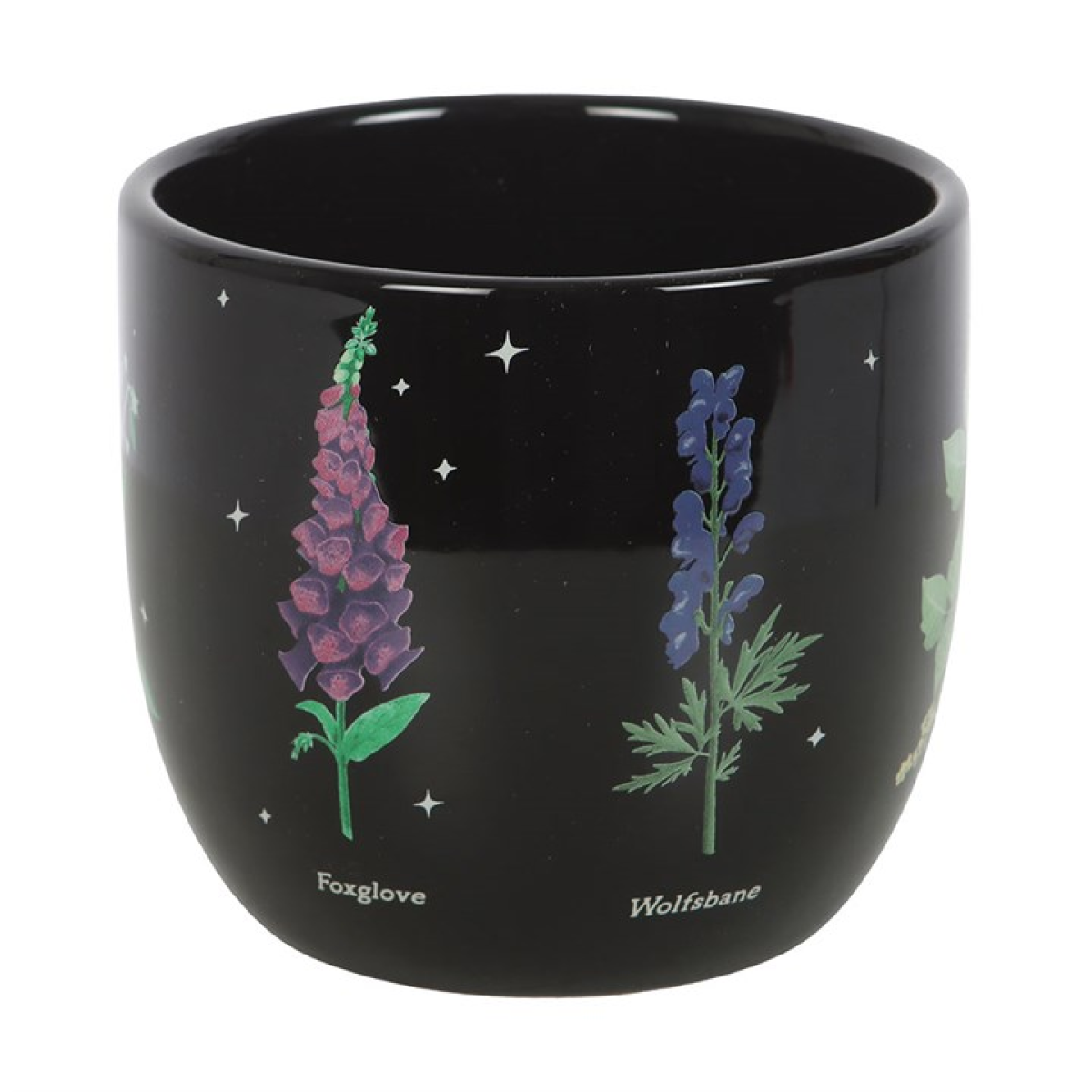 Black ceramic plant pot and matching saucer, with a poisonous plant illustrations design.