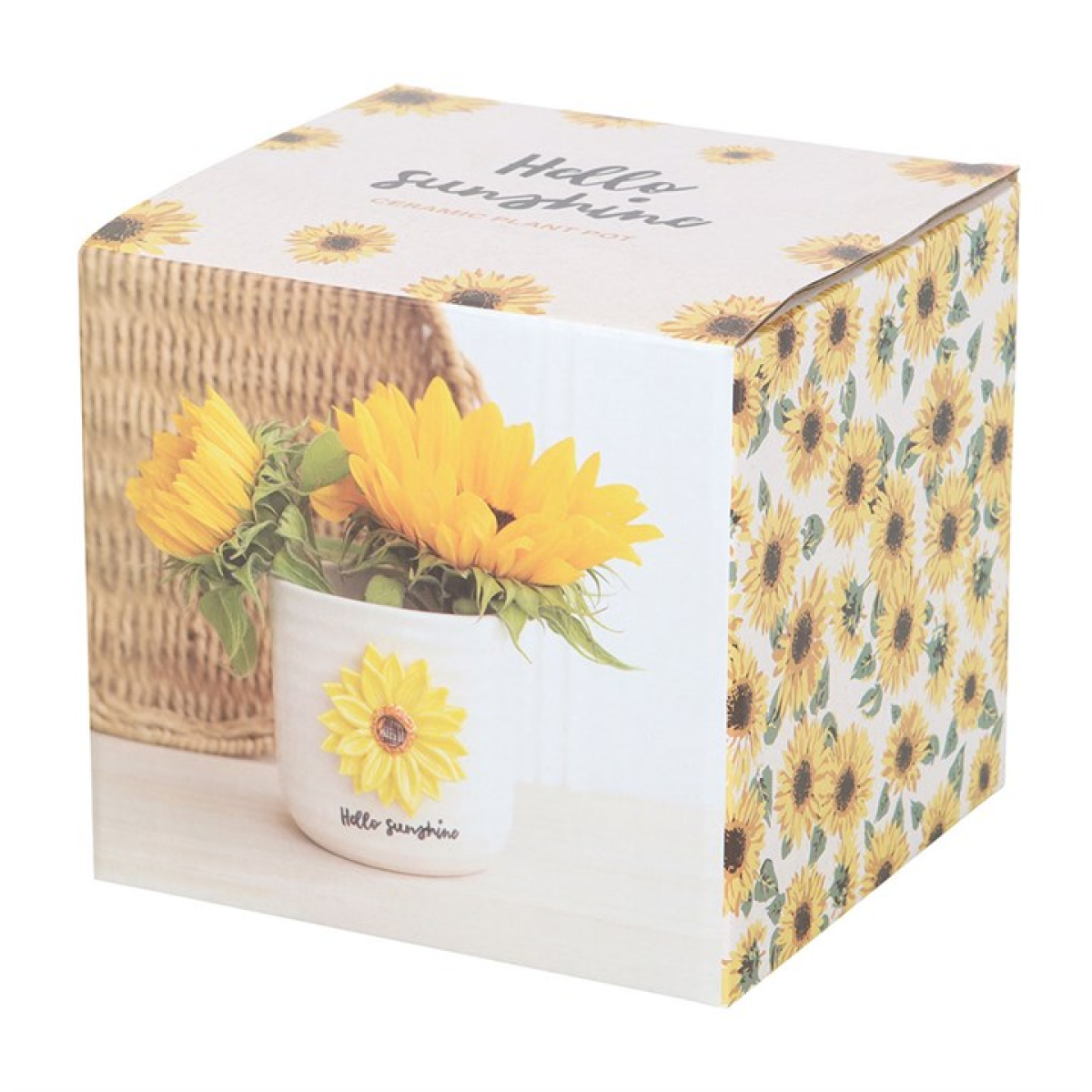 White textured plant pot with Hello Sunshine text and 3D effect sunflower. Presented in a themed box.