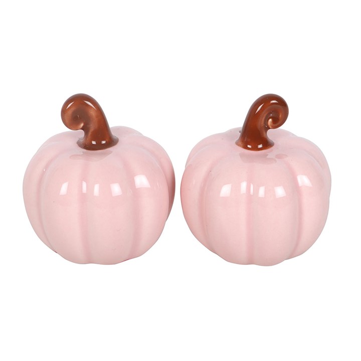 Pink ceramic curled stalk pumpkin salt and pepper shaker set.