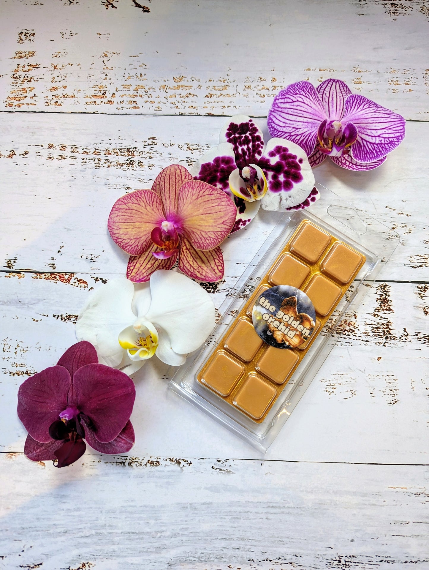 The Golden Orchid coconut wax melt. Gold snap bar with golden shimmer accents.