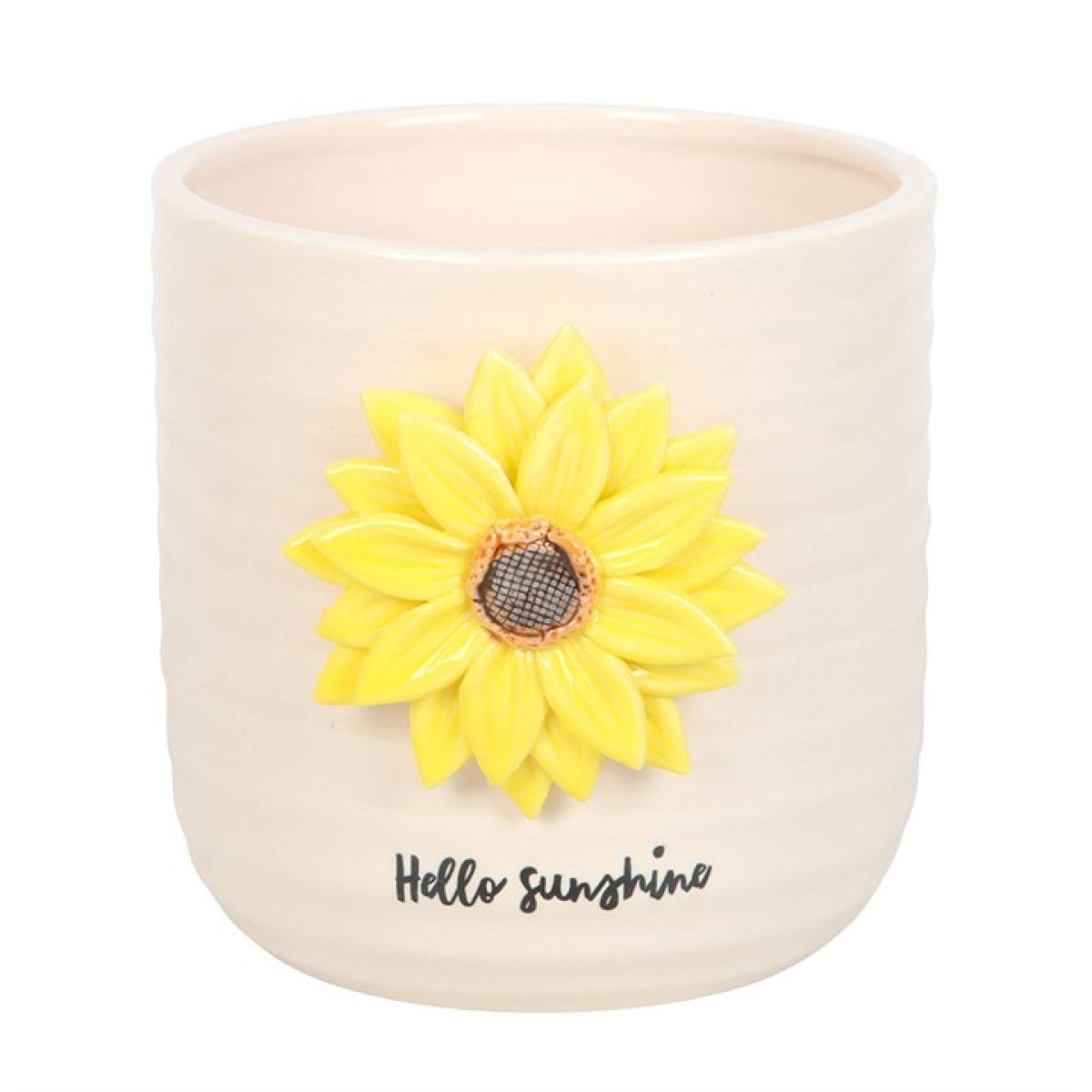 'Hello Sunshine' Plant Pot ~ with 3D Sunflower