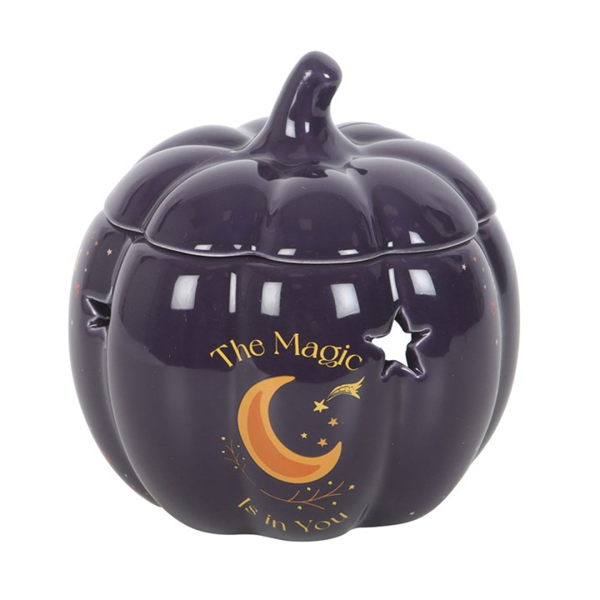 'The Magic Is In You' Pumpkin Wax Melter I Oil Burner