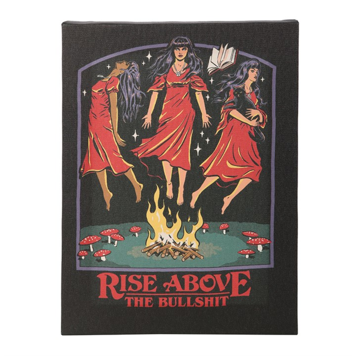'Rise Above the Bullshit' Canvas Plaque ~ Steven Rhodes