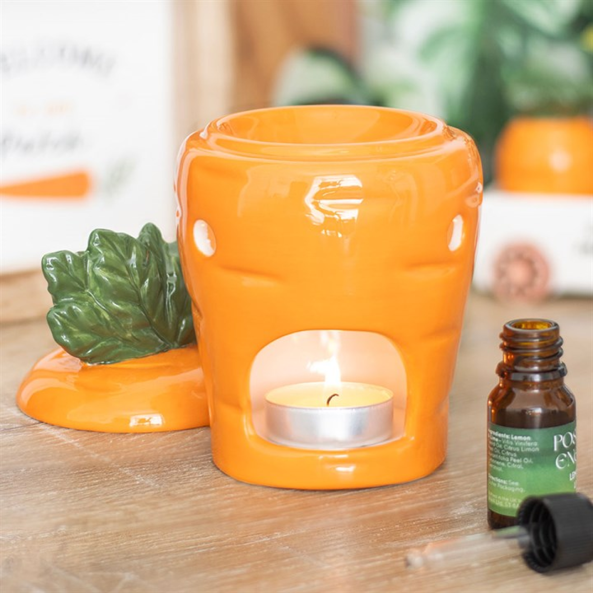 Carrot Wax Melter I Oil Burner
