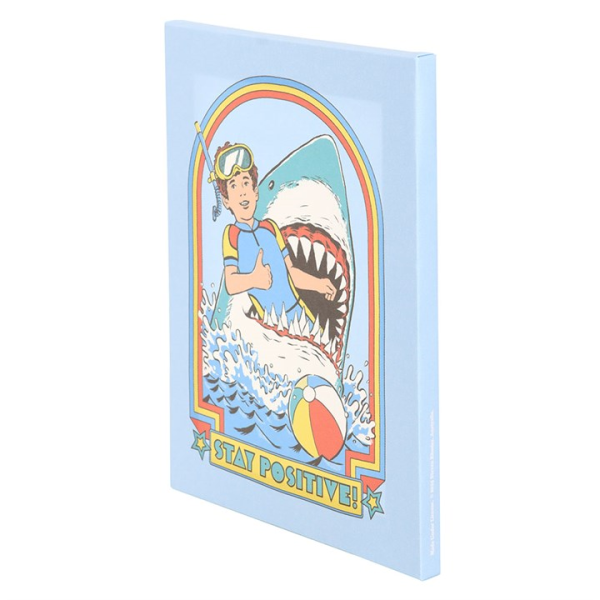 'Stay Positive' Canvas Plaque ~ Steven Rhodes