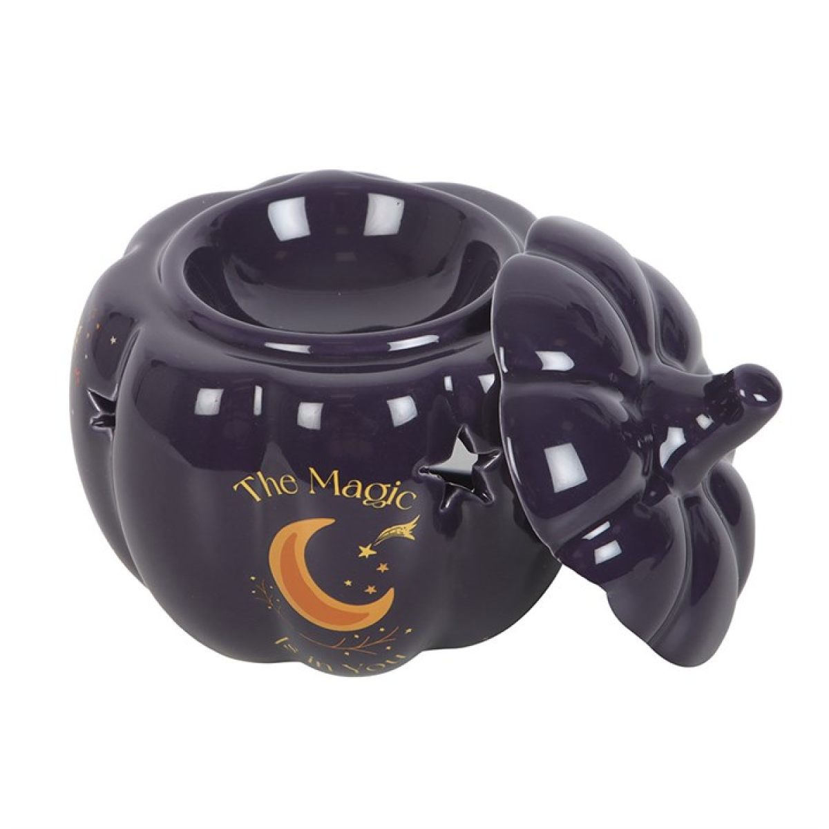 'The Magic Is In You' Pumpkin Wax Melter I Oil Burner