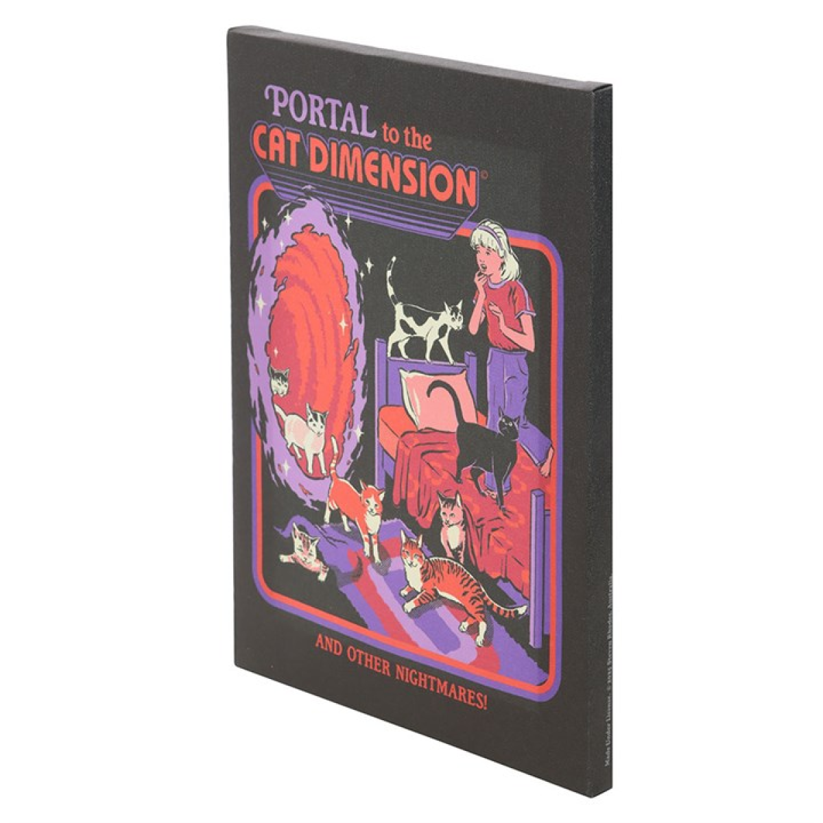 'The Cat Dimension' Canvas Plaque ~ Steven Rhodes