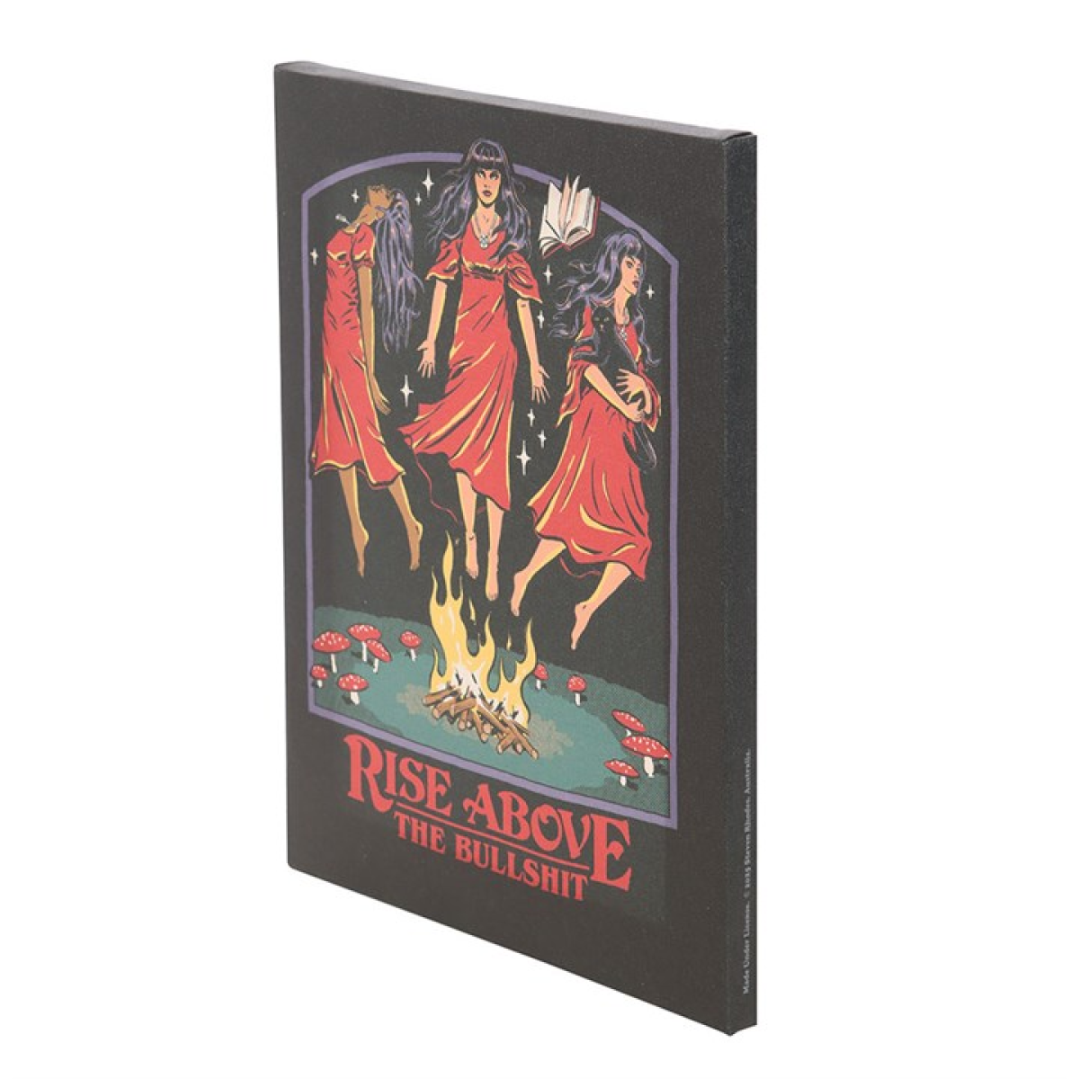 'Rise Above the Bullshit' Canvas Plaque ~ Steven Rhodes