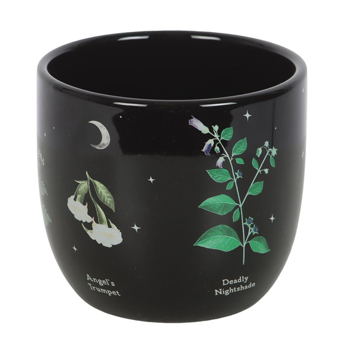 'Poisonous Plants' Plant Pot