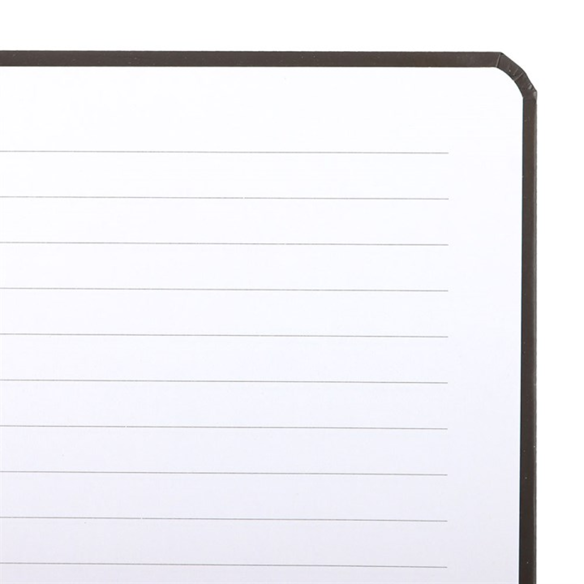 Wicked-Inspired 'Bad Witch Social Club' A5 Notebook