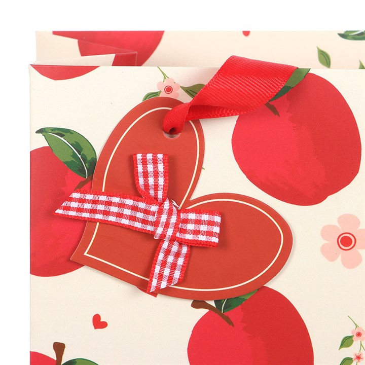 23cm Medium 'Apple' Print Gift Bag