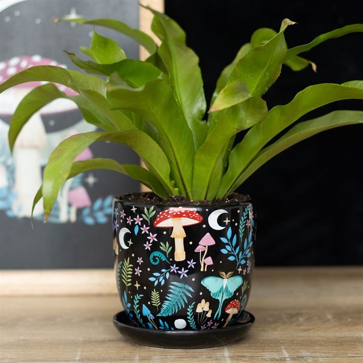 Ceramic plant pot with matching saucer. Gloss matt background with vintage style mushrooms, fauna and luna moths.