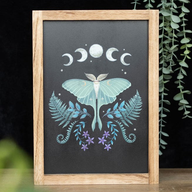 Luna Moth art work with vintage fauna accents in a wooden frame. 
