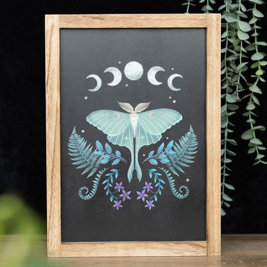 Luna Moth art work with vintage fauna accents in a wooden frame. 
