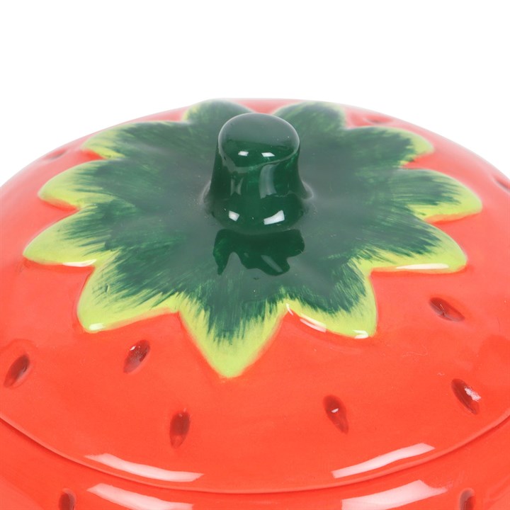 Strawberry Wax Melter I Oil Burner
