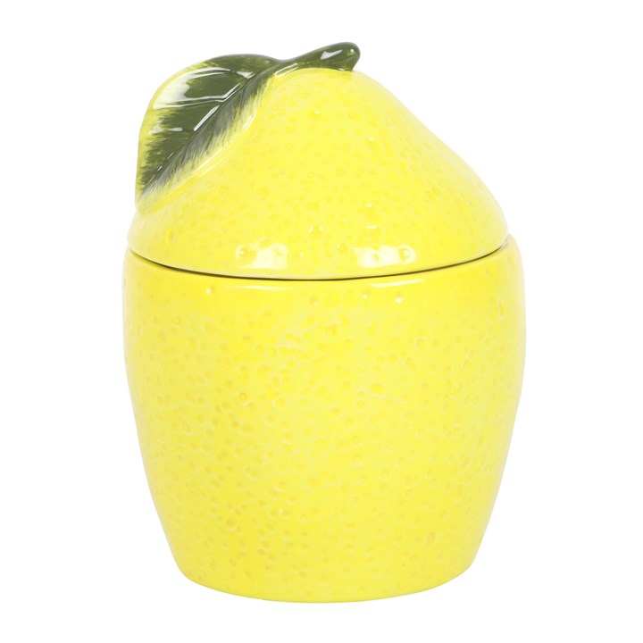 Lemon Wax Melter I Oil Burner