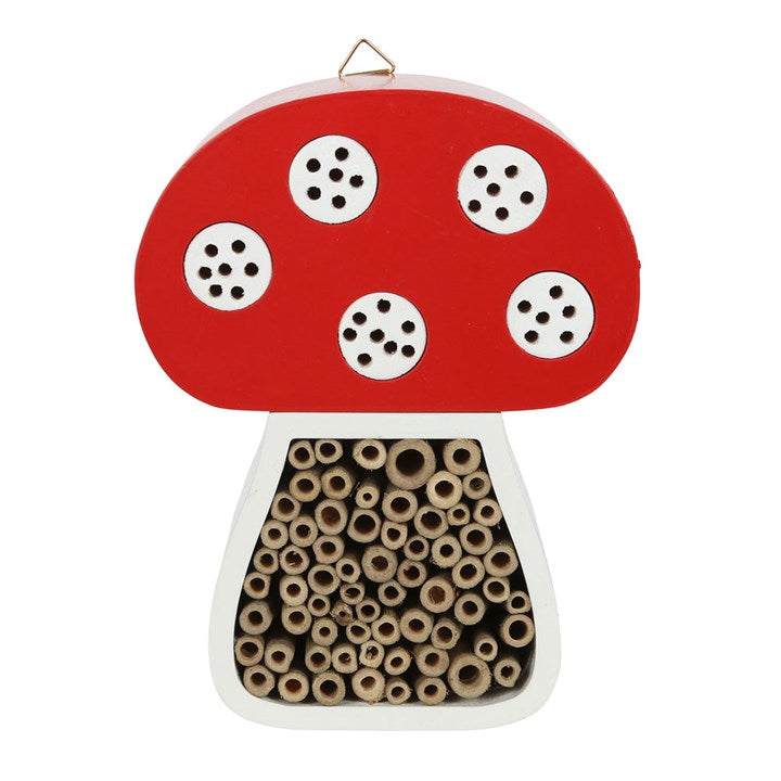 Toadstool Shaped Insect House
