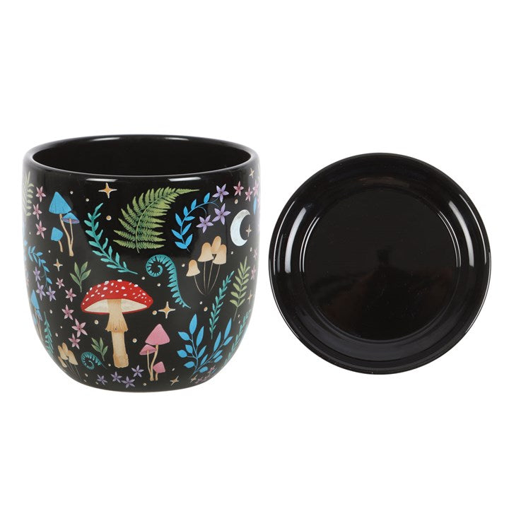 Ceramic plant pot with matching saucer. Gloss matt background with vintage style mushrooms, fauna and luna moths.