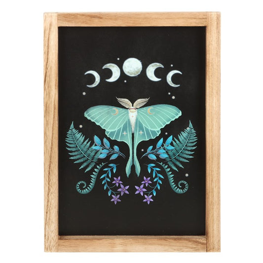 'Luna Moth' Wall Art ~ Framed