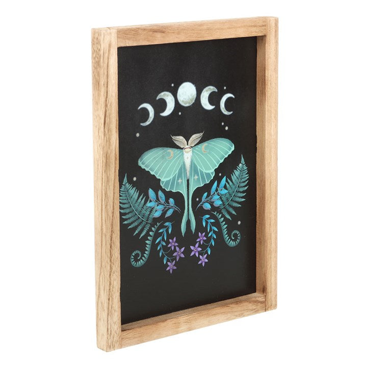 'Luna Moth' Wall Art ~ Framed