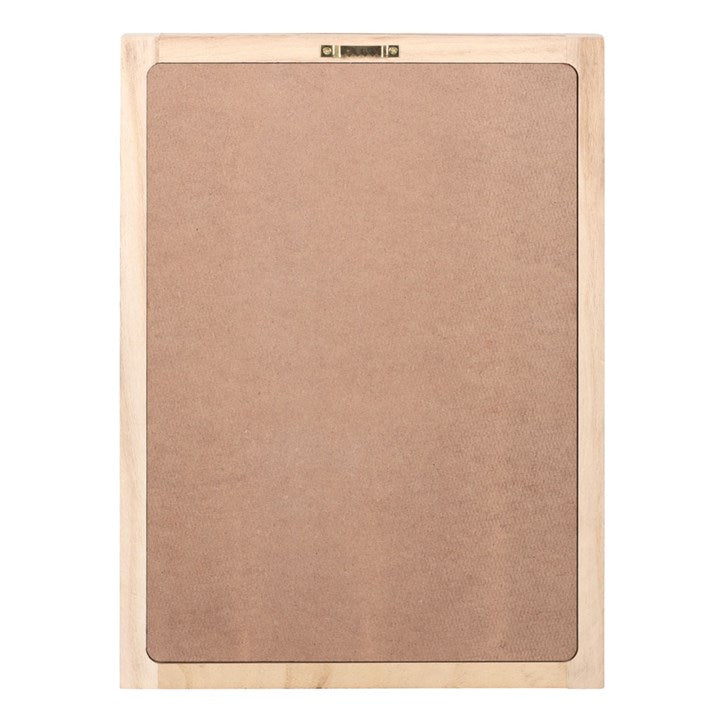 'Luna Moth' Wall Art ~ Framed