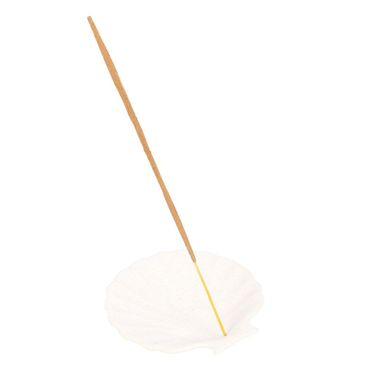 Scallop Shell Incense Dish for Sticks + Cones