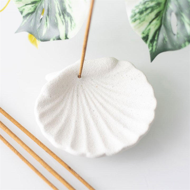 Scallop Shell Incense Dish for Sticks + Cones
