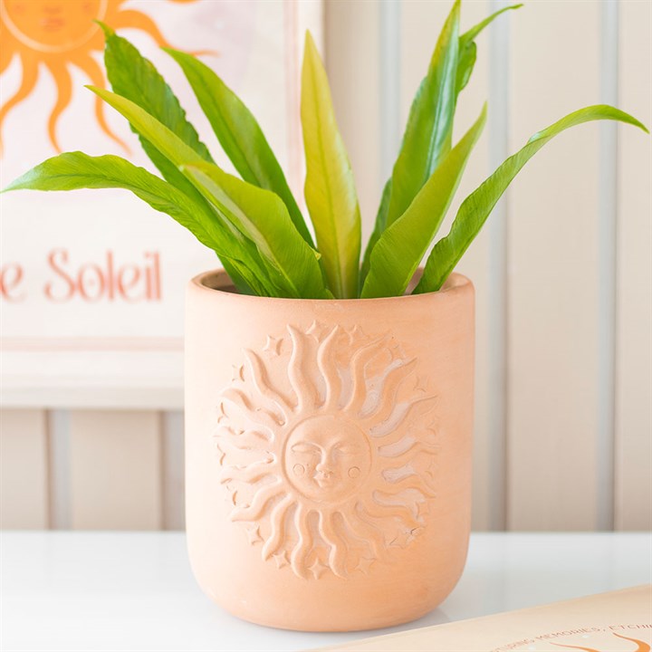 Terracotta plant pot with charming embossed sunburst design.
