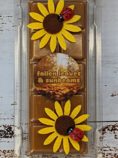 Fallen Leaves and Sunbeams