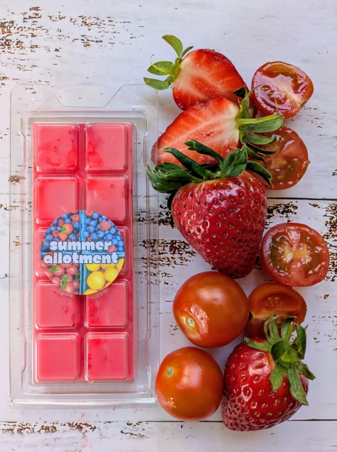 Summer Allotment coconut wax melt. Bright red snap bar with red shimmer accents. 