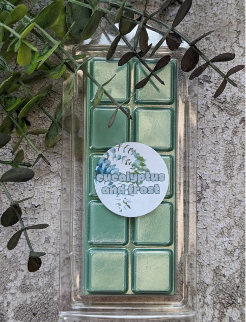 Eucalyptus and Frost coconut wax melt. Green snap bar with shimmer accents.