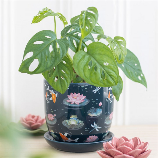 'Pond Print' Plant Pot with Saucer