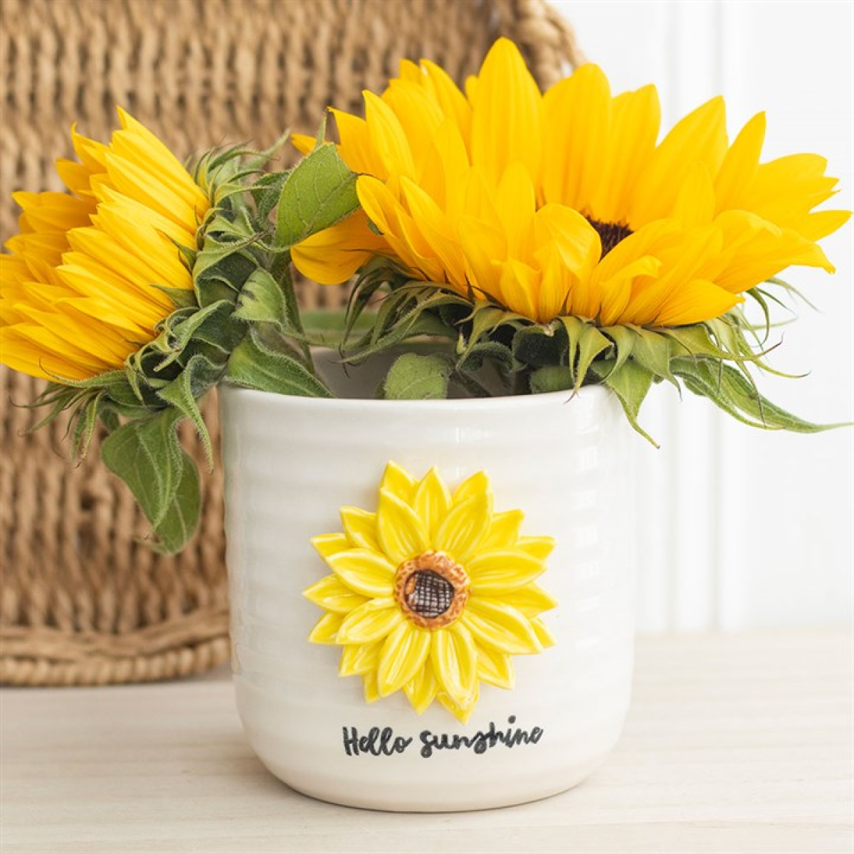 'Hello Sunshine' Plant Pot ~ with 3D Sunflower