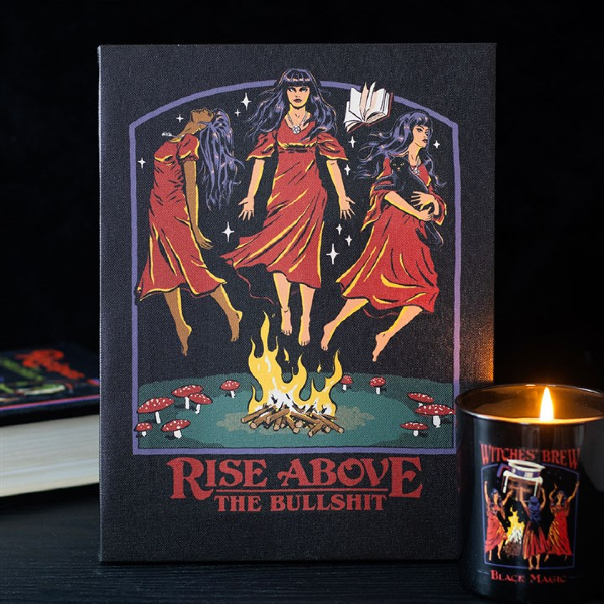 'Rise Above the Bullshit' Canvas Plaque ~ Steven Rhodes