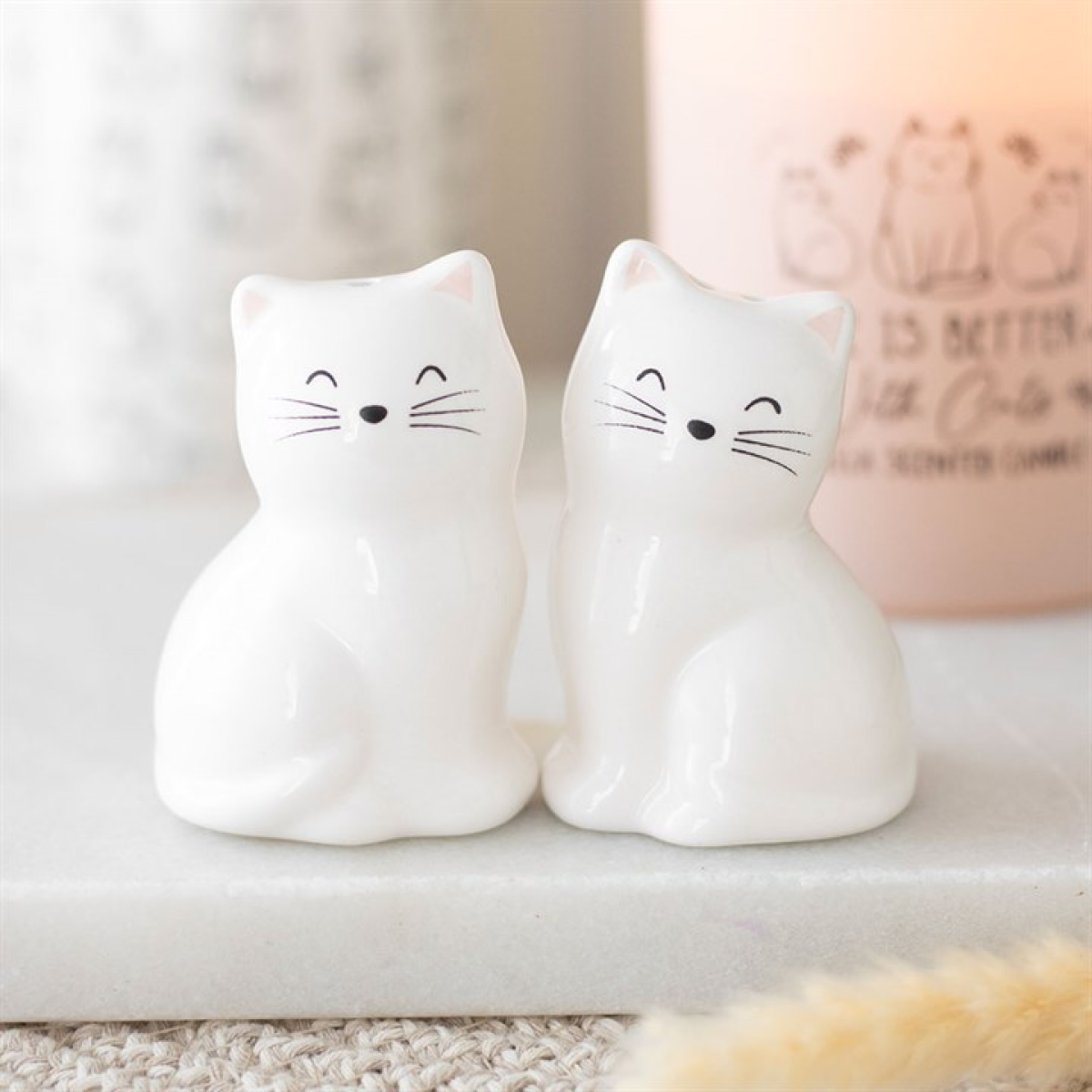 ceramic cat shaped salt and pepper shaker set