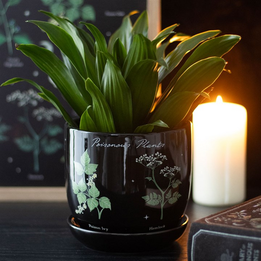 'Poisonous Plants' Plant Pot