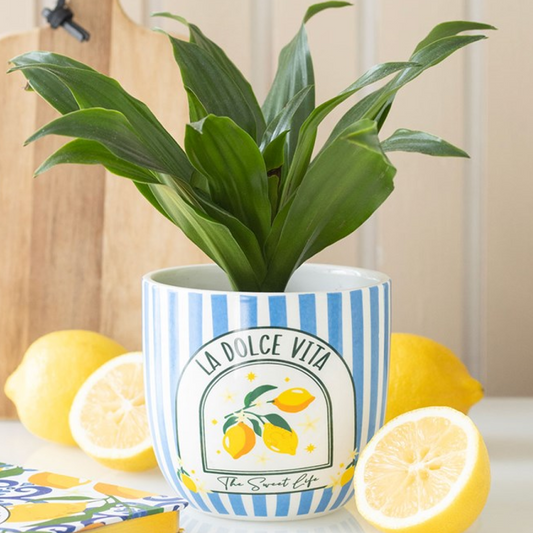 Ceramic plant pot with La Dolce Vita text, classic blue stripes and lemons motif. 