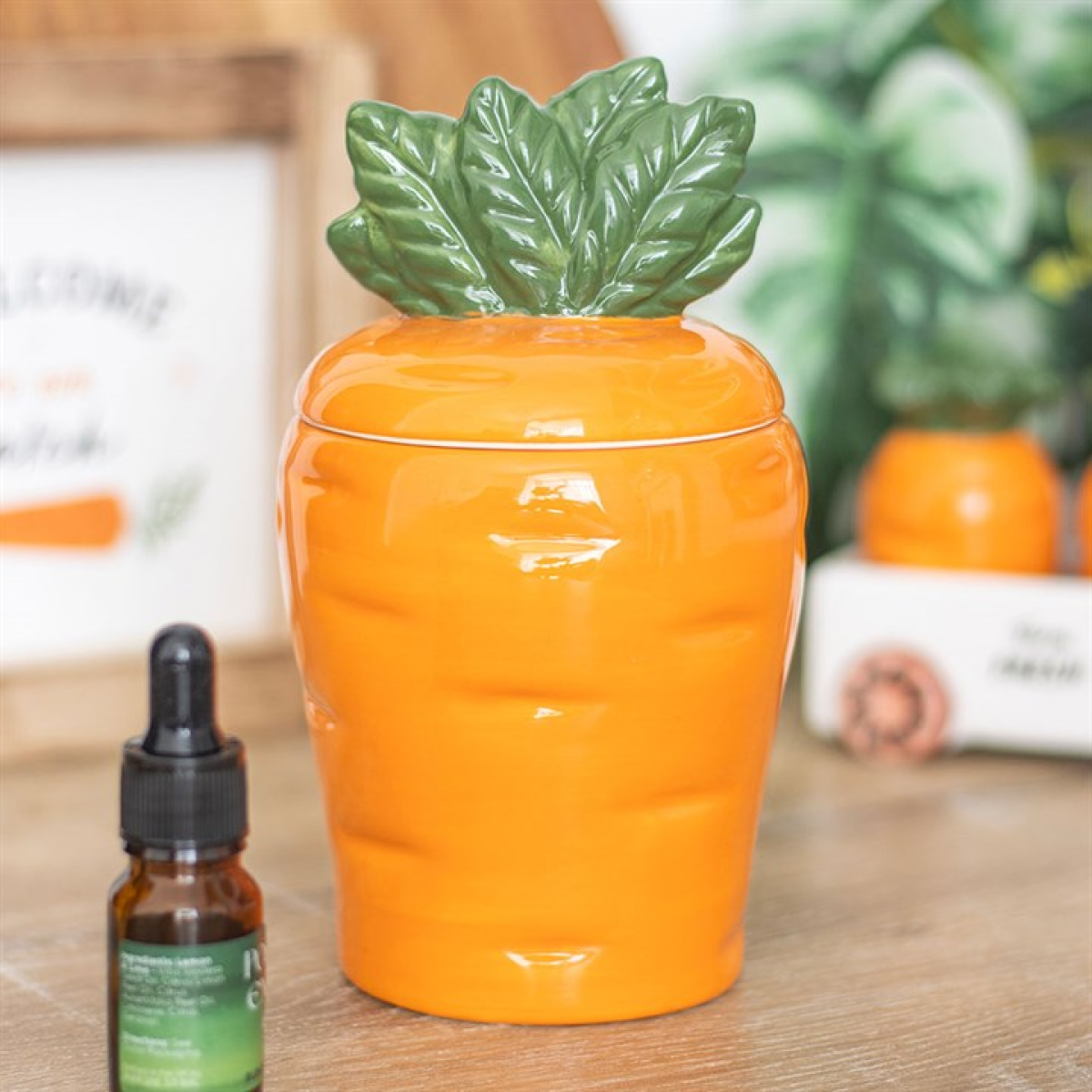 Carrot Wax Melter I Oil Burner