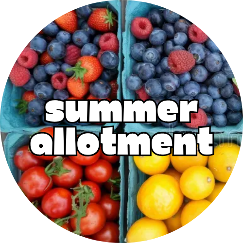Summer Allotment Scented Coconut Wax Melt Label